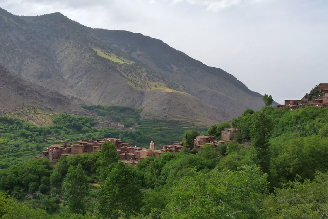 travello