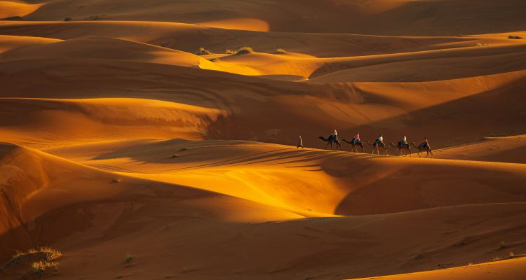 Road of Kasbahs and Dunes – Sahara Circuit by 4x4