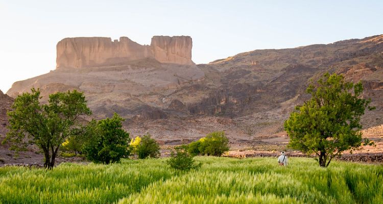 Djebel Saghro Trek - Volcanic Landscapes and Nomadic Culture