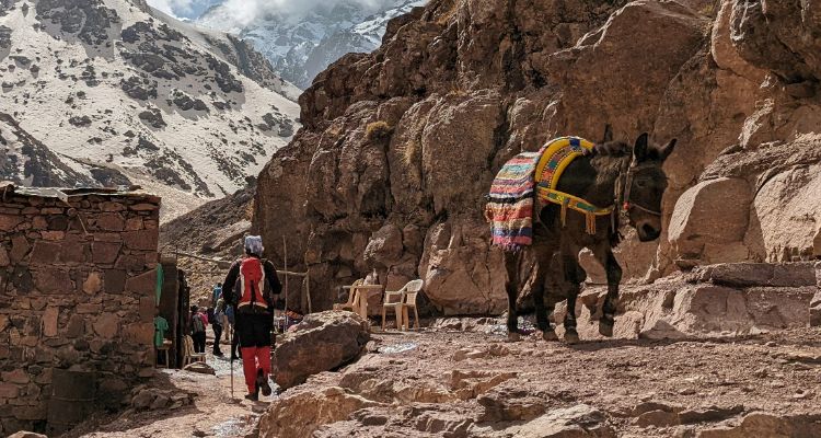 2-Day Trek in the Toubkal Massif By Morocco Pathways