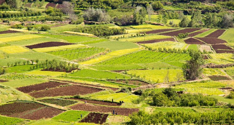 Berber Adventure through the M’Goun Massif -- 8 Days